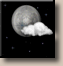 Tuesday Night: Mostly Clear